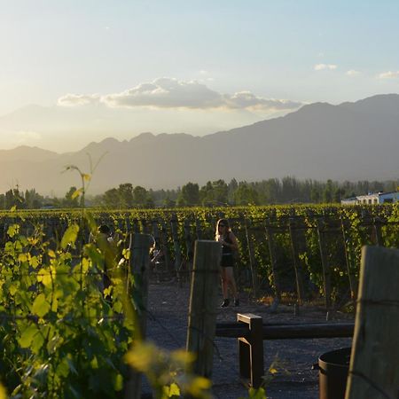 Viamonte Winery Lodge チャクラス・デ・コリア エクステリア 写真