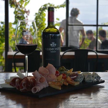 Viamonte Winery Lodge チャクラス・デ・コリア エクステリア 写真