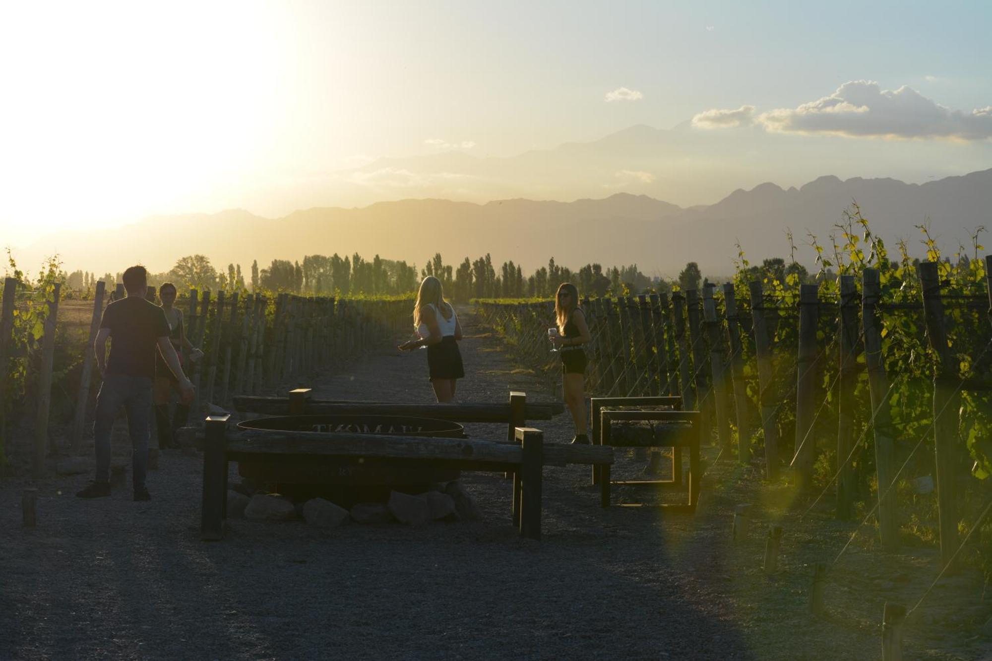 Viamonte Winery Lodge チャクラス・デ・コリア エクステリア 写真