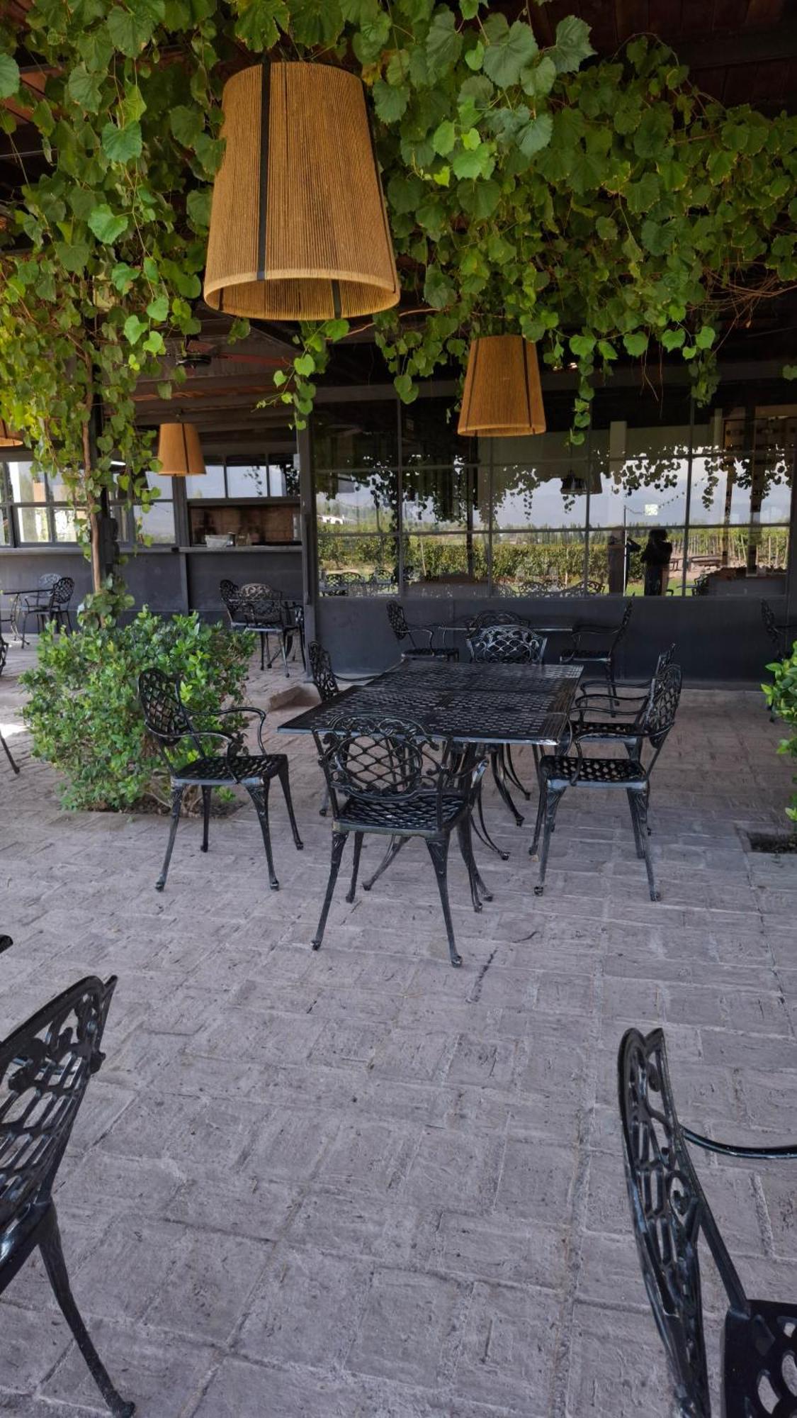 Viamonte Winery Lodge チャクラス・デ・コリア エクステリア 写真
