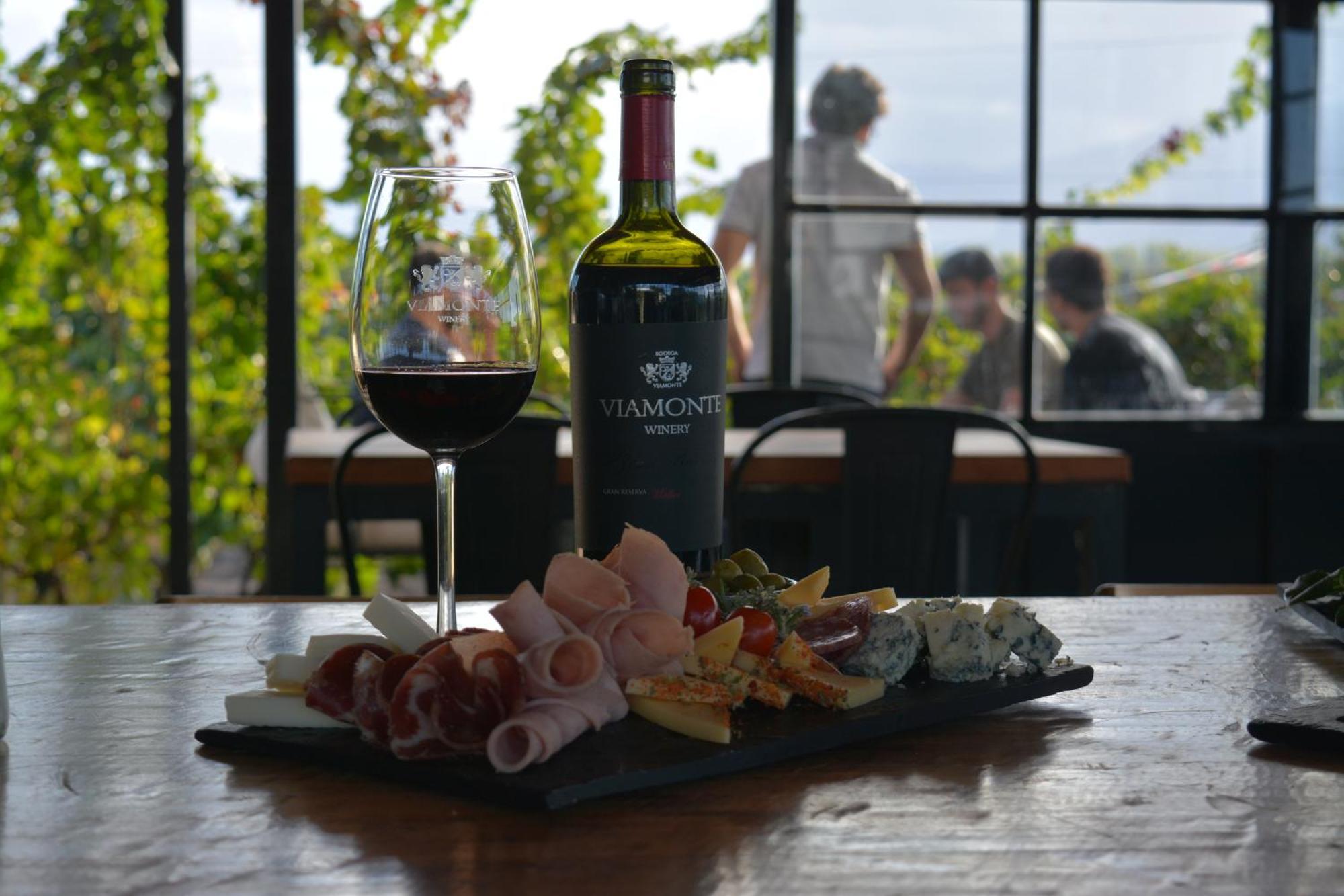 Viamonte Winery Lodge チャクラス・デ・コリア エクステリア 写真
