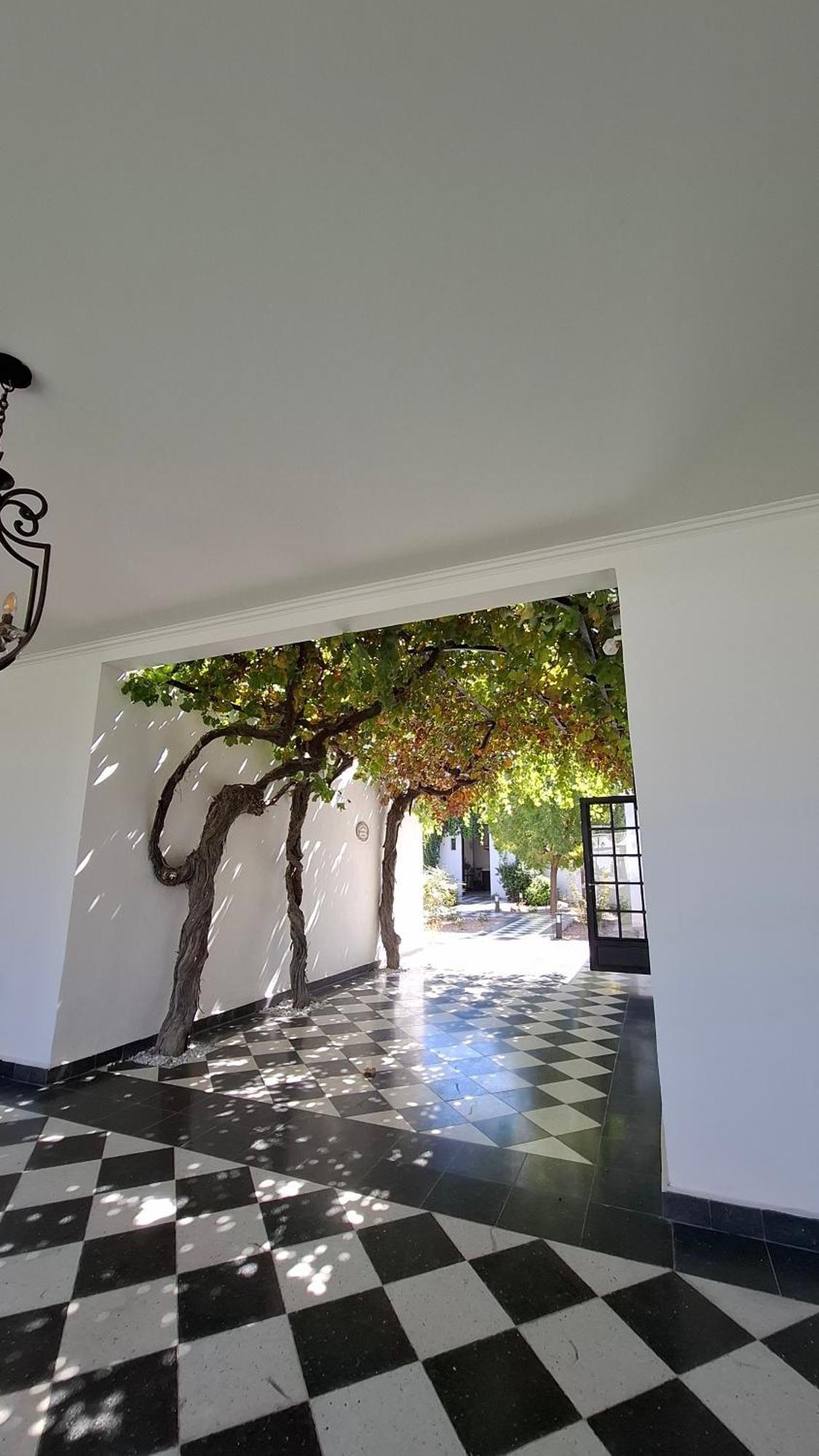 Viamonte Winery Lodge チャクラス・デ・コリア エクステリア 写真